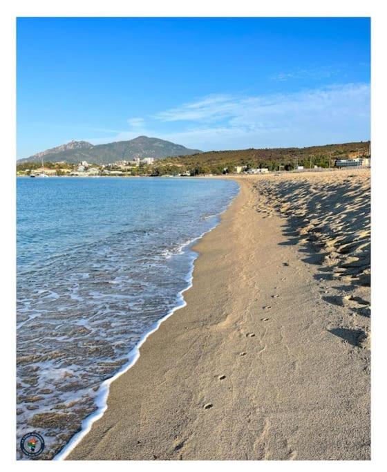 Lumineux Et Cosy F3 Vue Mer Ajaccio  Exteriér fotografie